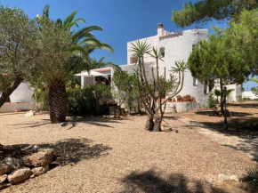 Casa Eucaliptos